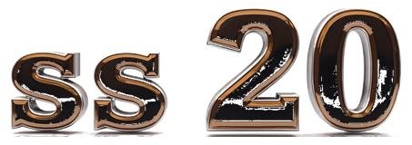 s20 logo